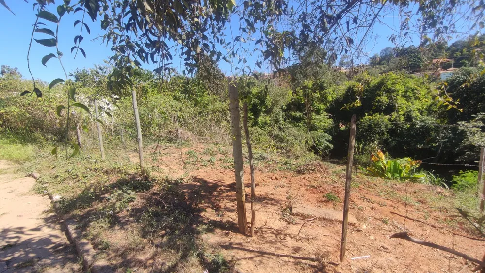 Terreno, 1000 m² - Foto 3