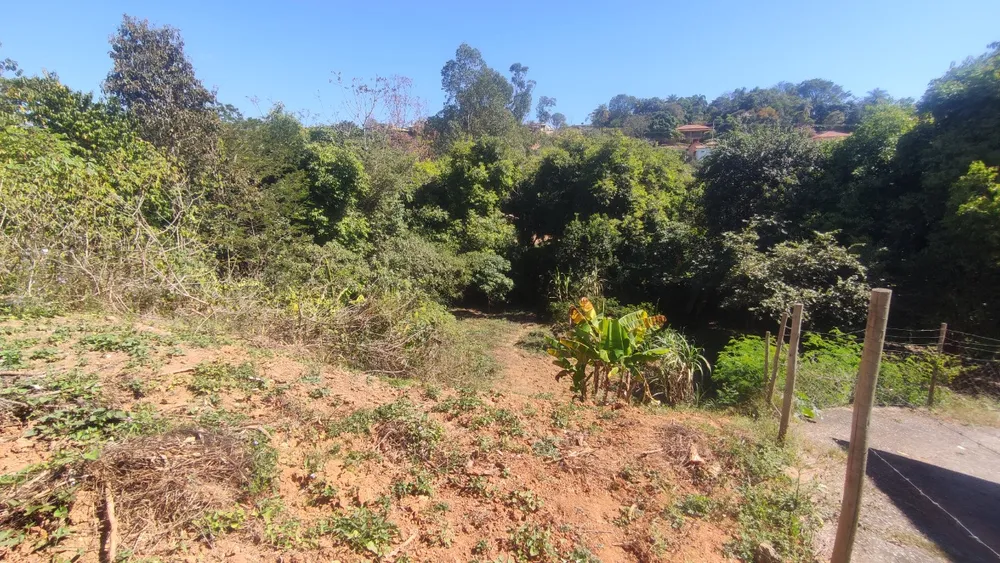 Terreno, 1000 m² - Foto 4