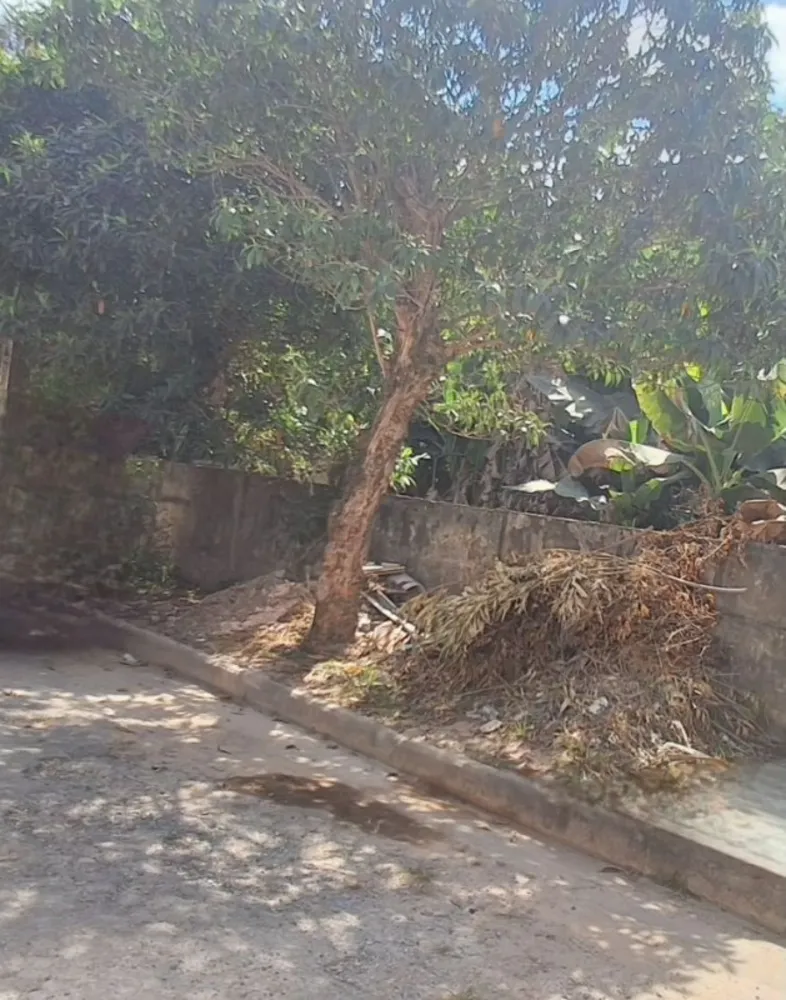 Terreno, 1440 m² - Foto 5