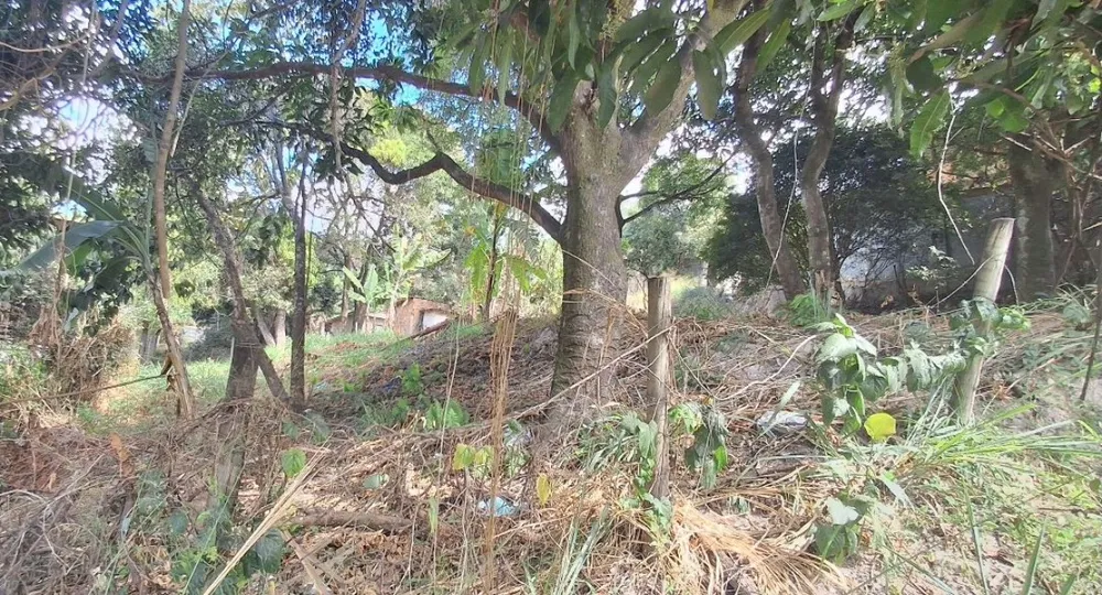 Terreno, 1440 m² - Foto 7