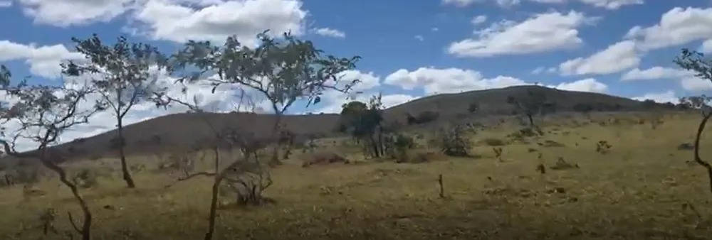 Fazenda, 908 hectares - Foto 4