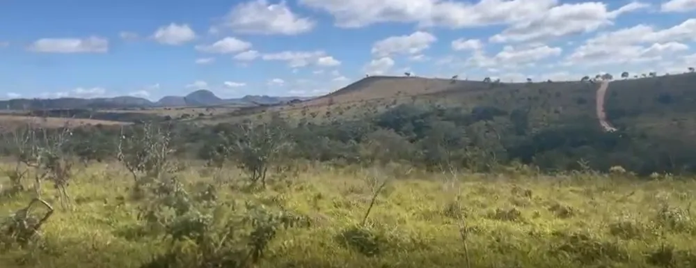 Fazenda, 908 hectares - Foto 6