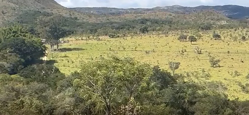 Fazenda, 908 hectares - Foto 3