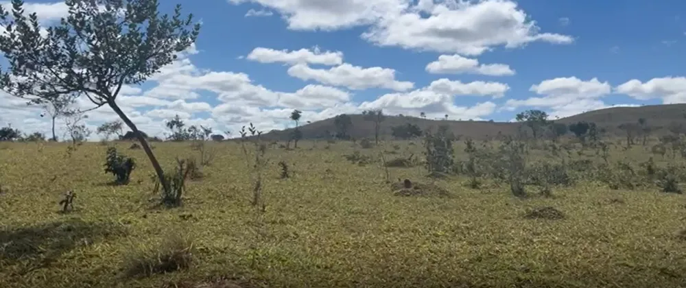 Fazenda, 908 hectares - Foto 11