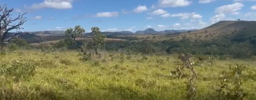 Fazenda, 908 hectares - Foto 1