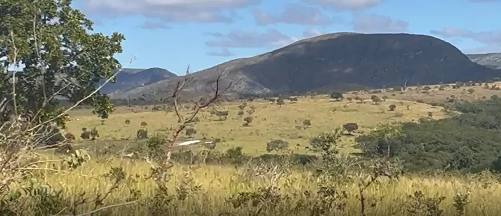 Fazenda, 908 hectares - Foto 8