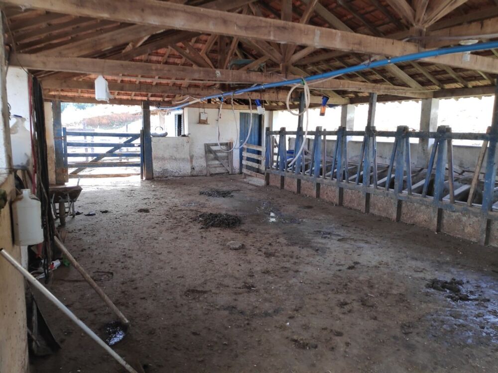 Fazenda à venda com 1 quarto, 720000m² - Foto 20