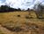 Fazenda, 1 quarto - Foto 23