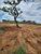 Terreno, 1000 m² - Foto 2