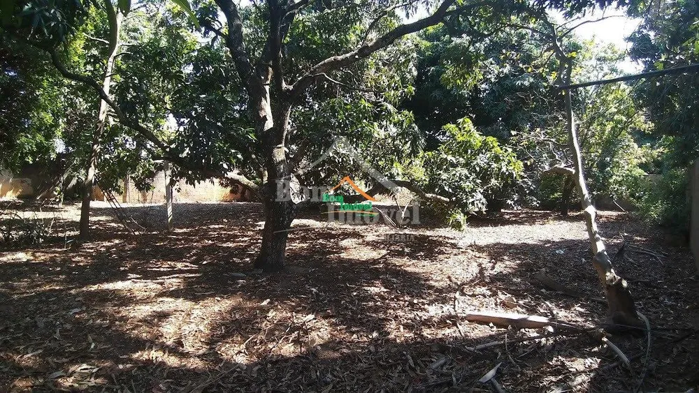 Casa, 6 quartos, 250 m² - Foto 12