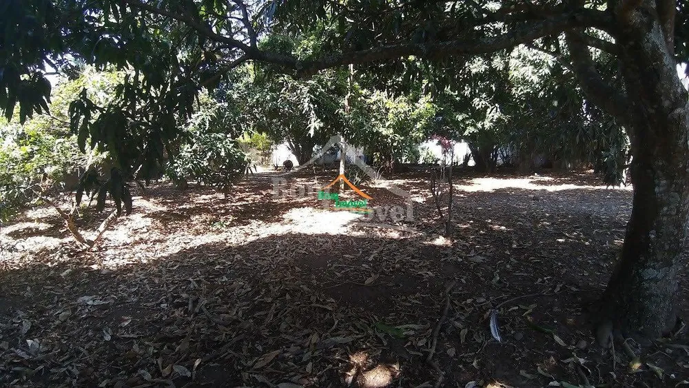 Casa, 6 quartos, 250 m² - Foto 8