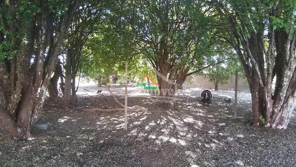Casa, 6 quartos, 250 m² - Foto 5