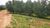 Fazenda, 92 hectares - Foto 1