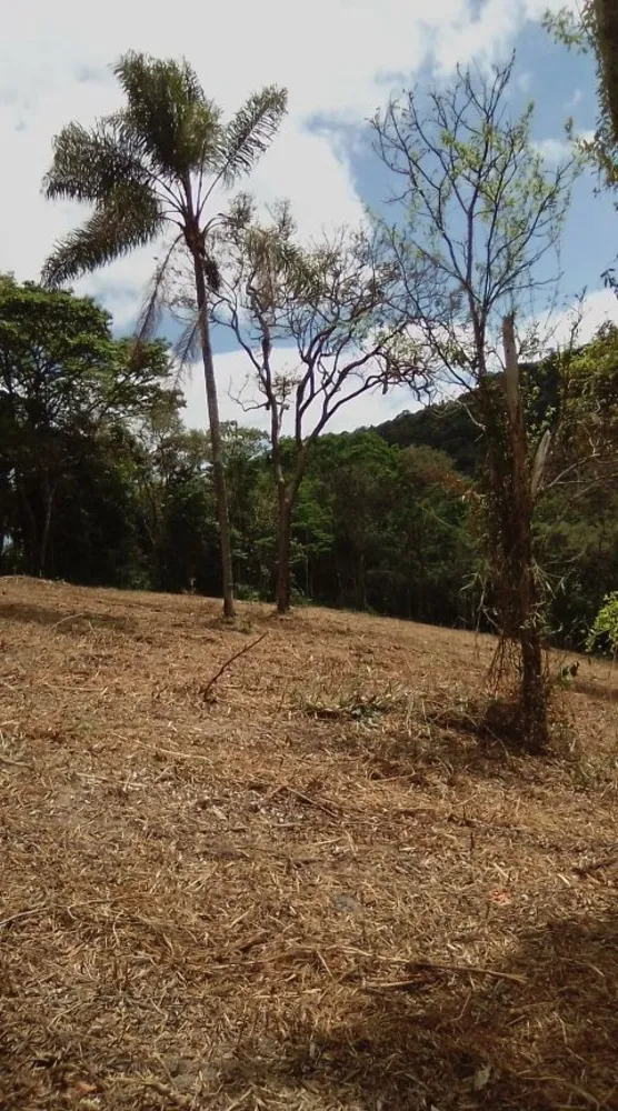 Terreno, 5 hectares - Foto 2