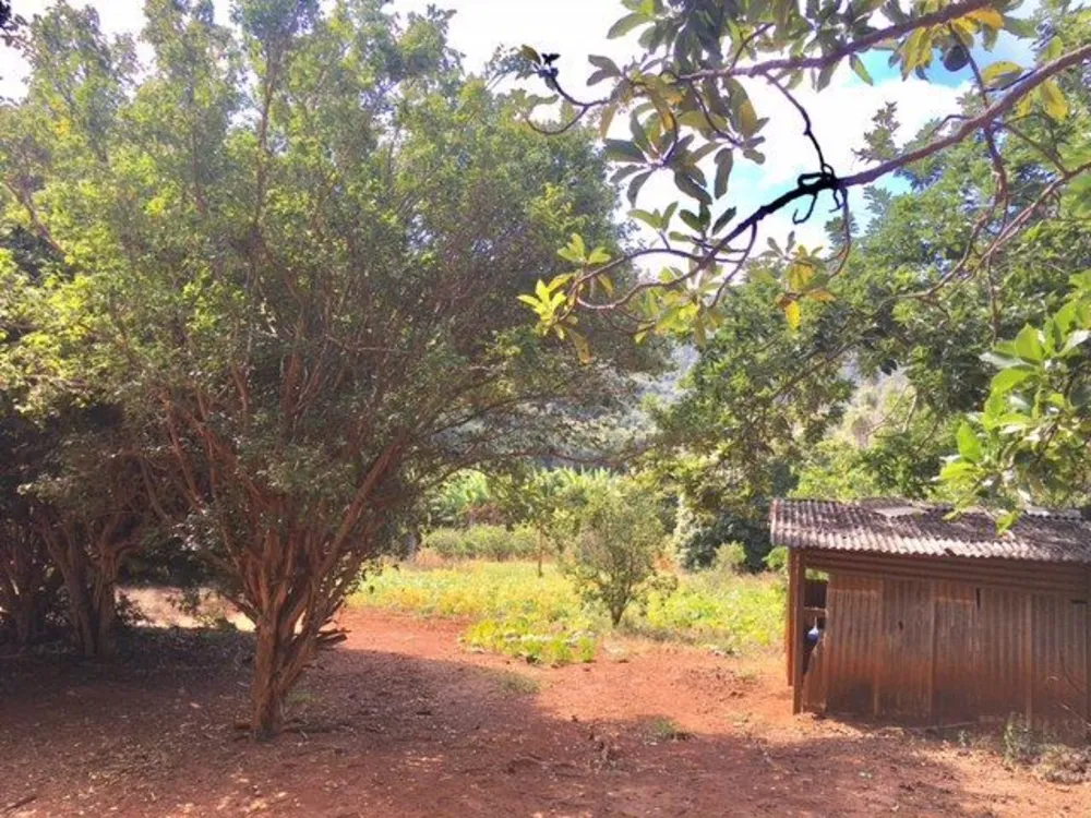 Chácara, 8 quartos - Foto 4