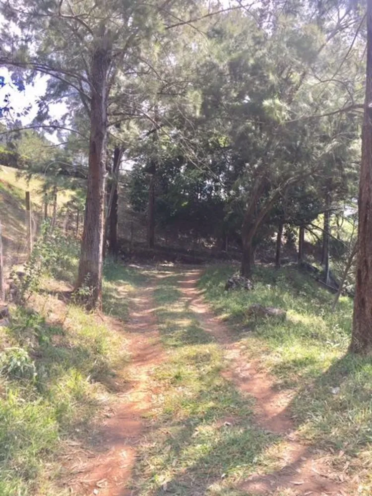 Fazenda, 8 quartos - Foto 3