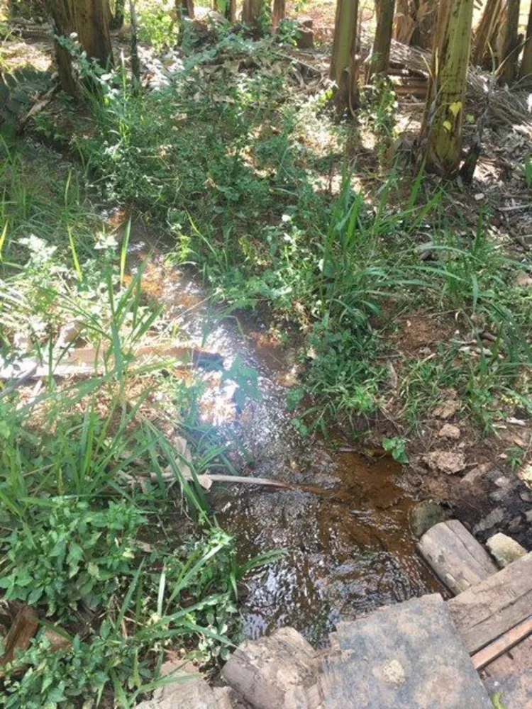 Fazenda, 8 quartos - Foto 6