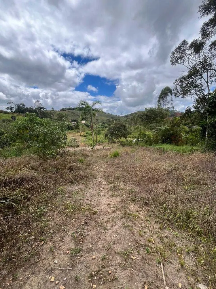 Chácara, 4 quartos, 2 hectares - Foto 8
