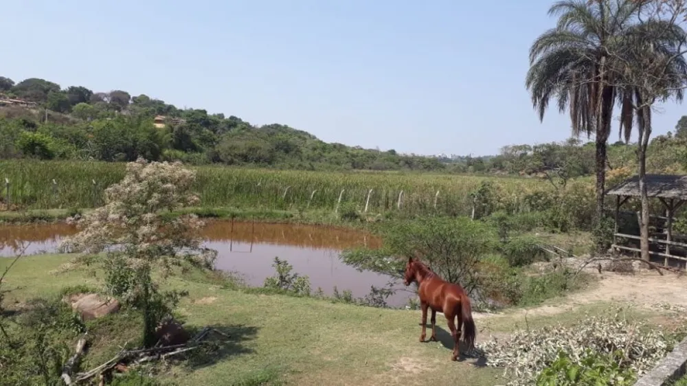 Chácara, 3 quartos, 6000 m² - Foto 1