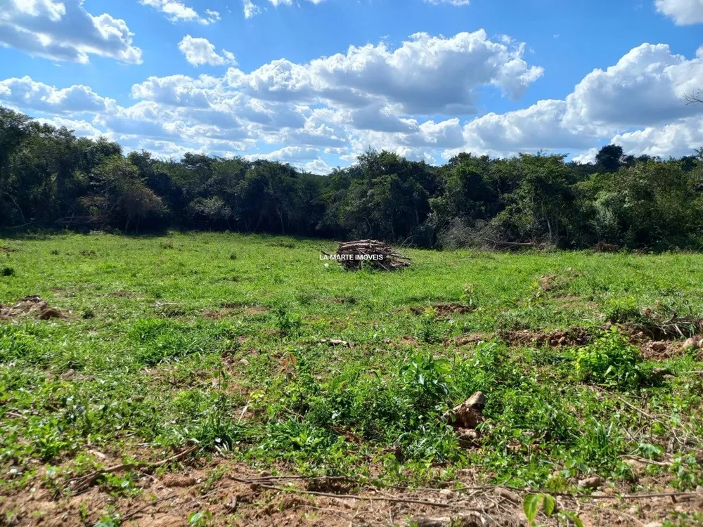 Sítio, 3 quartos, 20000 m² - Foto 19