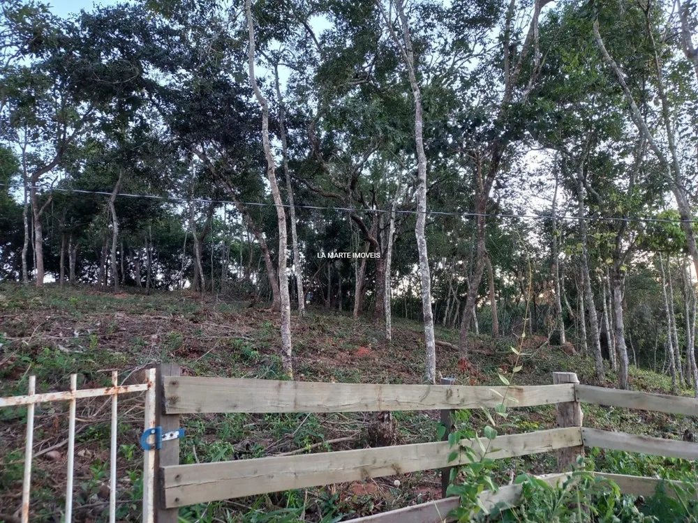 Sítio, 3 quartos, 20000 m² - Foto 8