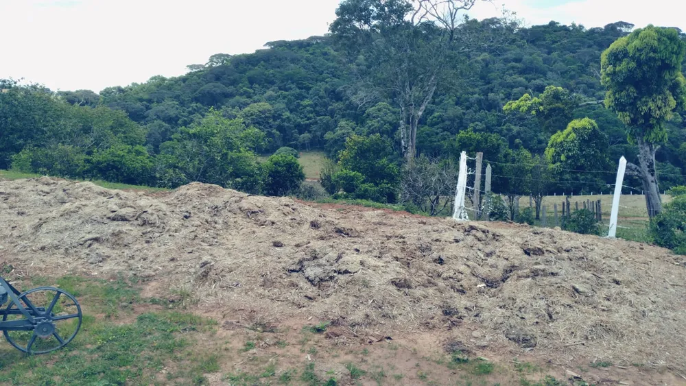 Sítio, 3 quartos, 36 hectares - Foto 6