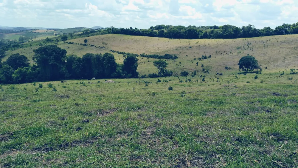 Sítio, 3 quartos, 36 hectares - Foto 1