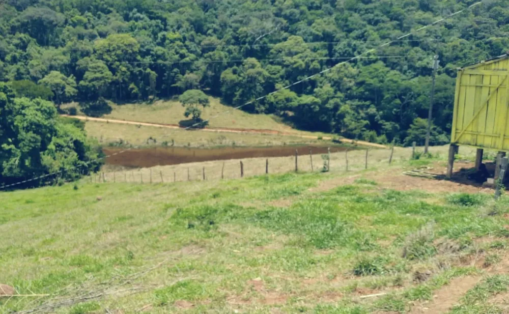 Sítio, 3 quartos, 36 hectares - Foto 2