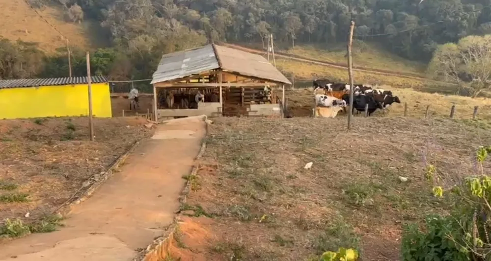 Sítio, 3 quartos, 36 hectares - Foto 1