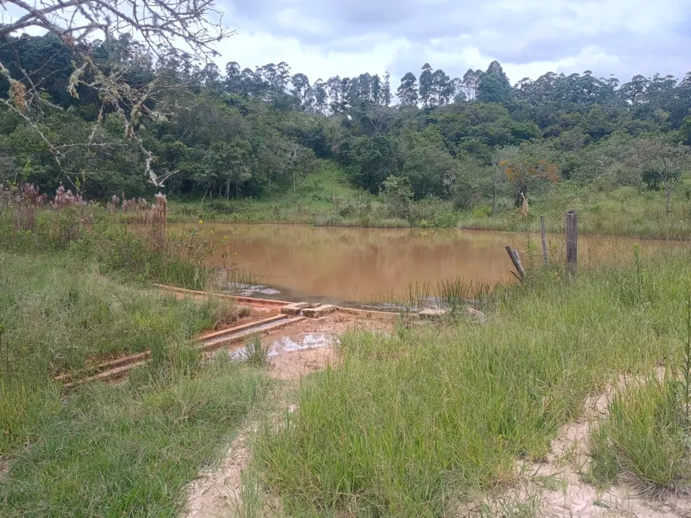 Fazenda, 19 hectares - Foto 3