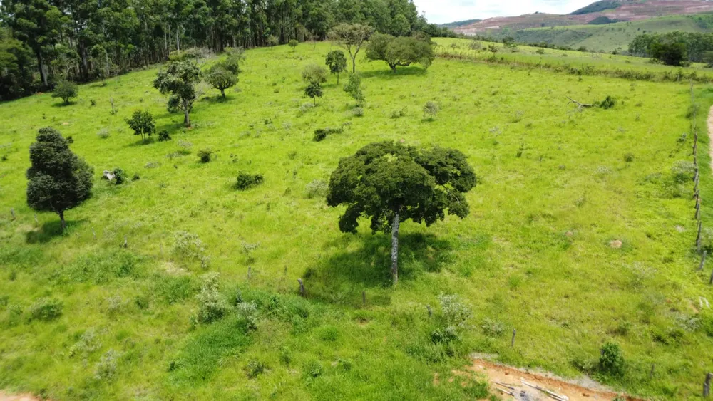 Fazenda, 19 hectares - Foto 8