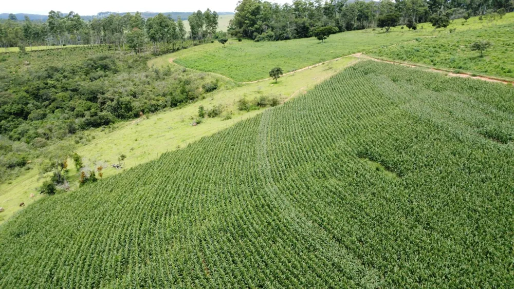 Fazenda, 19 hectares - Foto 6