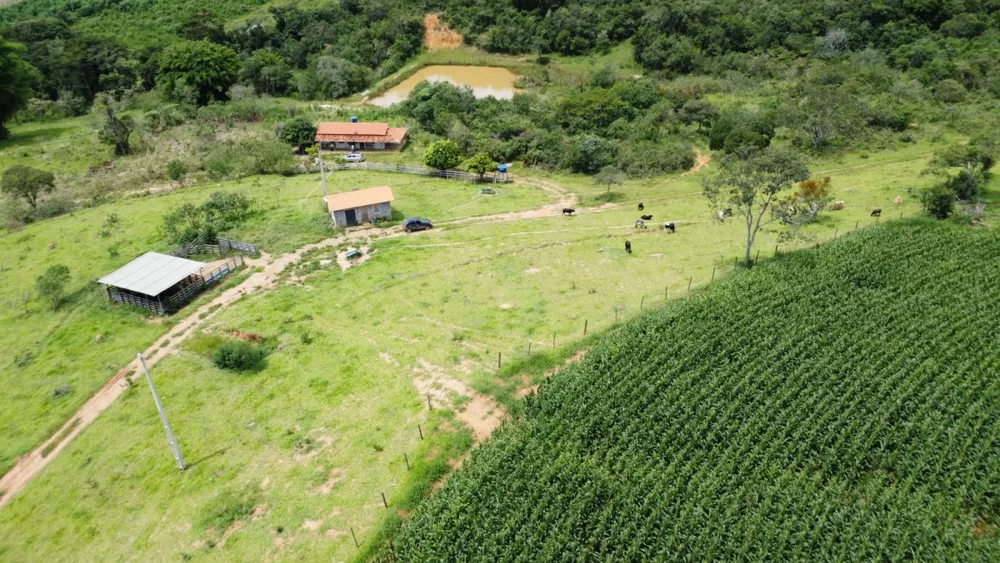 Fazenda, 19 hectares - Foto 1