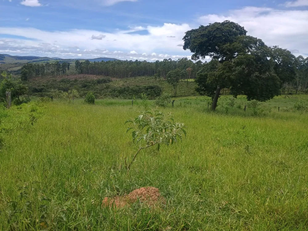 Fazenda, 19 hectares - Foto 5