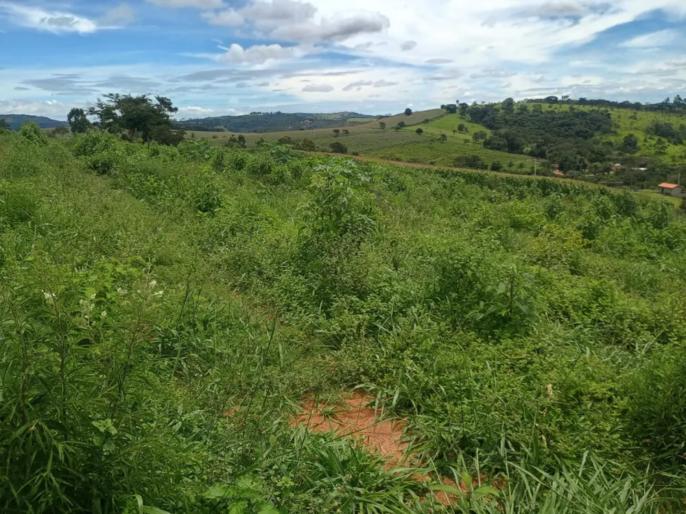 Fazenda, 19 hectares - Foto 4