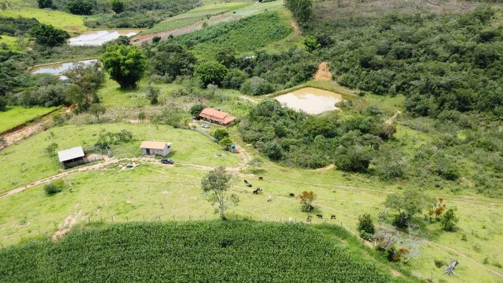 Fazenda, 19 hectares - Foto 12