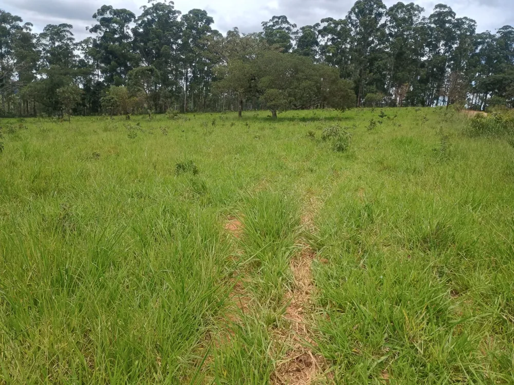 Fazenda, 19 hectares - Foto 6