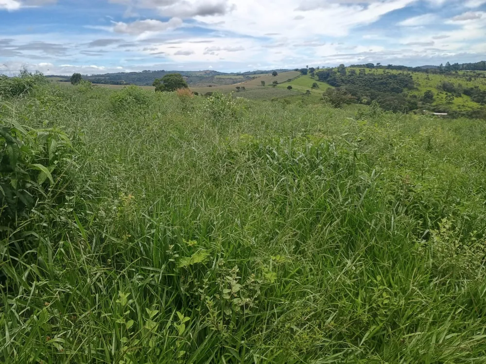 Fazenda, 19 hectares - Foto 15