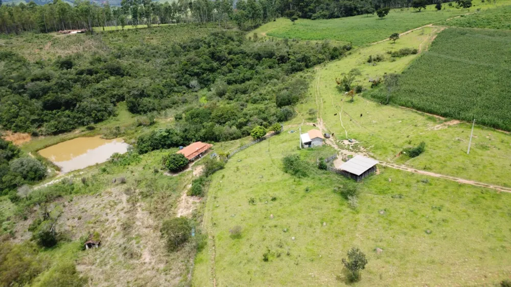 Fazenda, 19 hectares - Foto 13