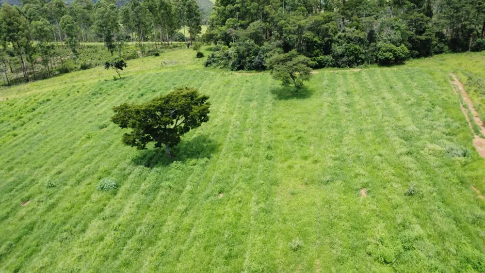 Fazenda, 19 hectares - Foto 14