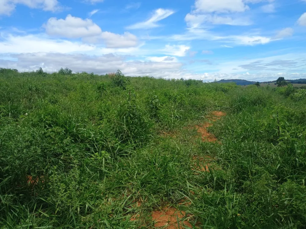 Fazenda, 19 hectares - Foto 10