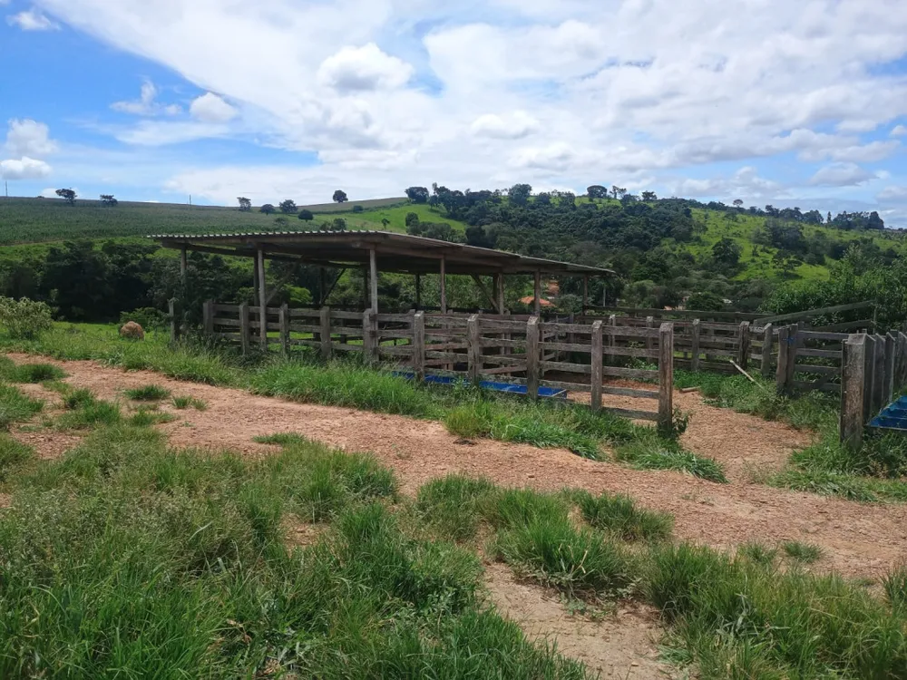 Fazenda, 19 hectares - Foto 9