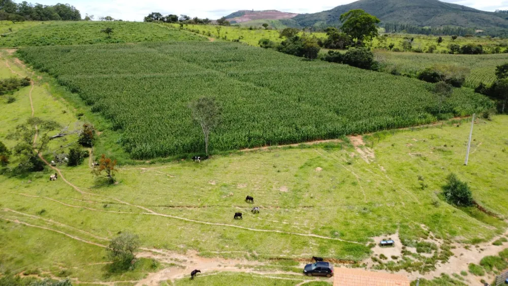 Fazenda, 19 hectares - Foto 8