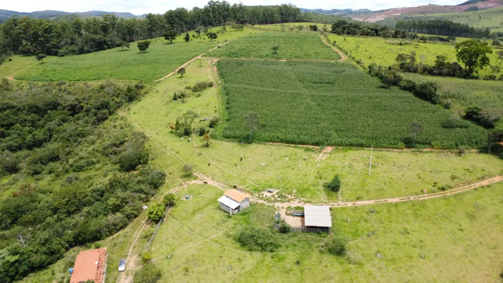 Fazenda, 19 hectares - Foto 4