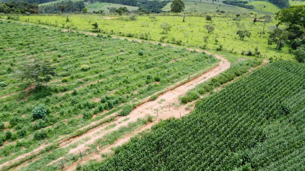 Fazenda, 19 hectares - Foto 10