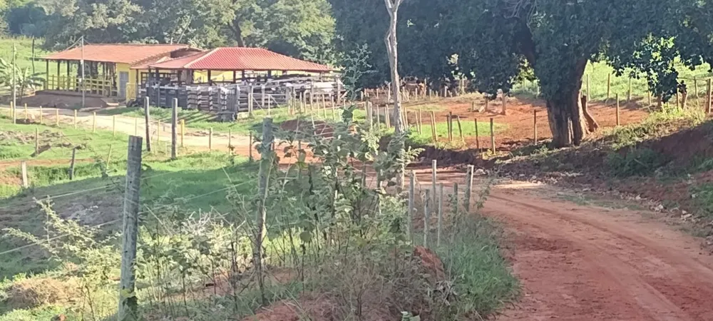 Fazenda, 1 quarto - Foto 1