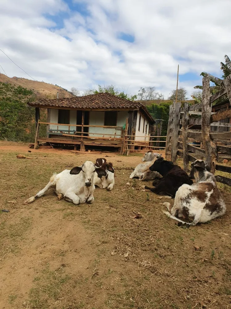 Fazenda, 1 quarto - Foto 7