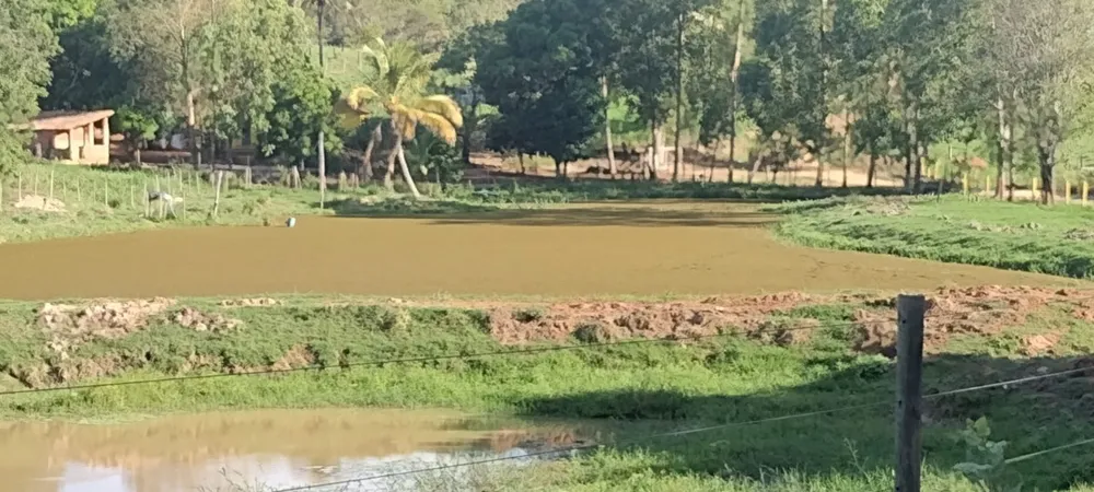 Fazenda, 1 quarto - Foto 4
