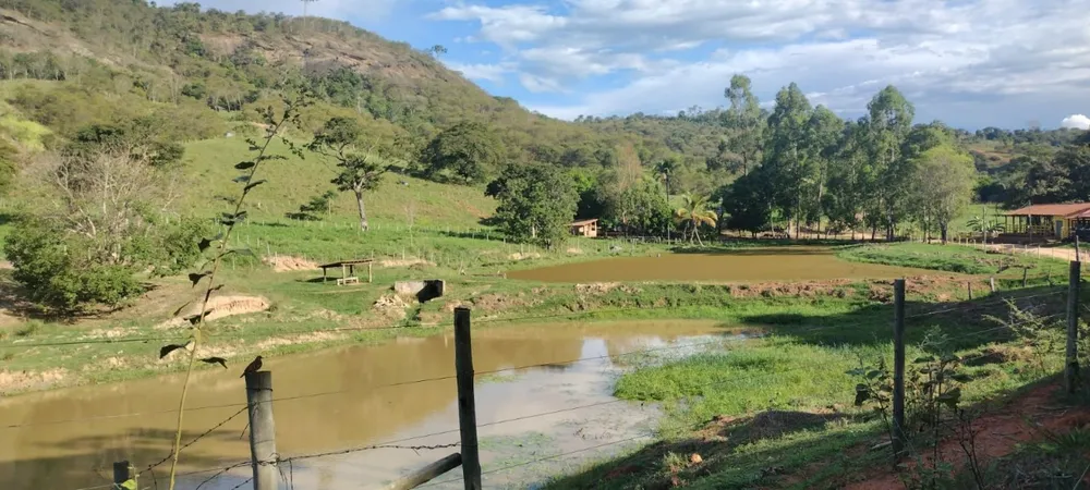 Fazenda, 1 quarto - Foto 5