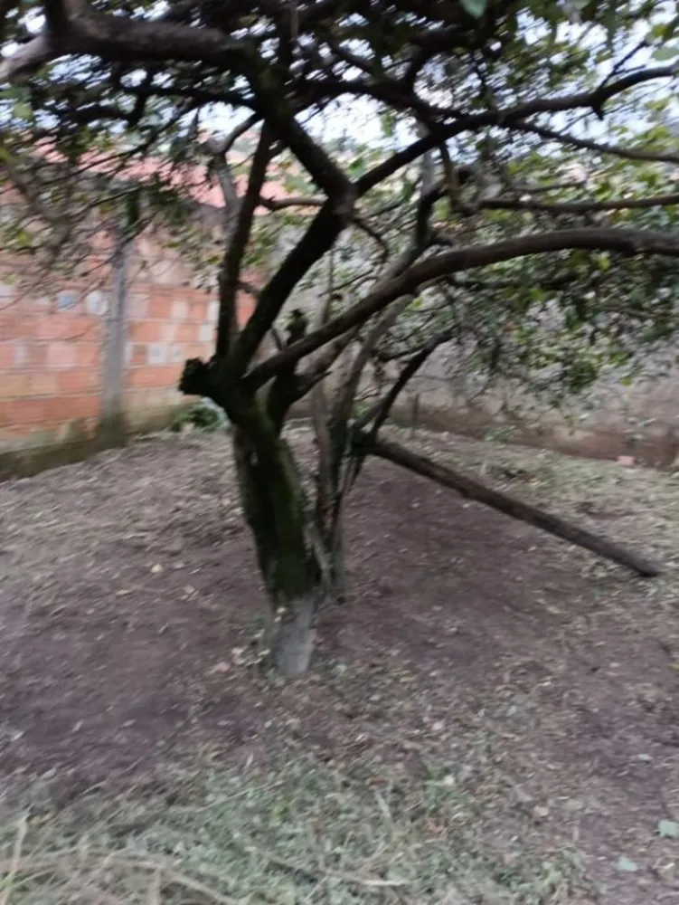 Terreno, 300 m² - Foto 11